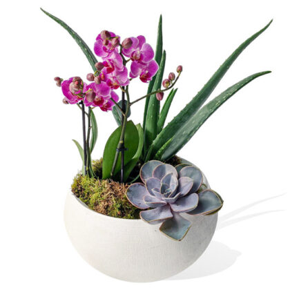 Large Stoneware Vase